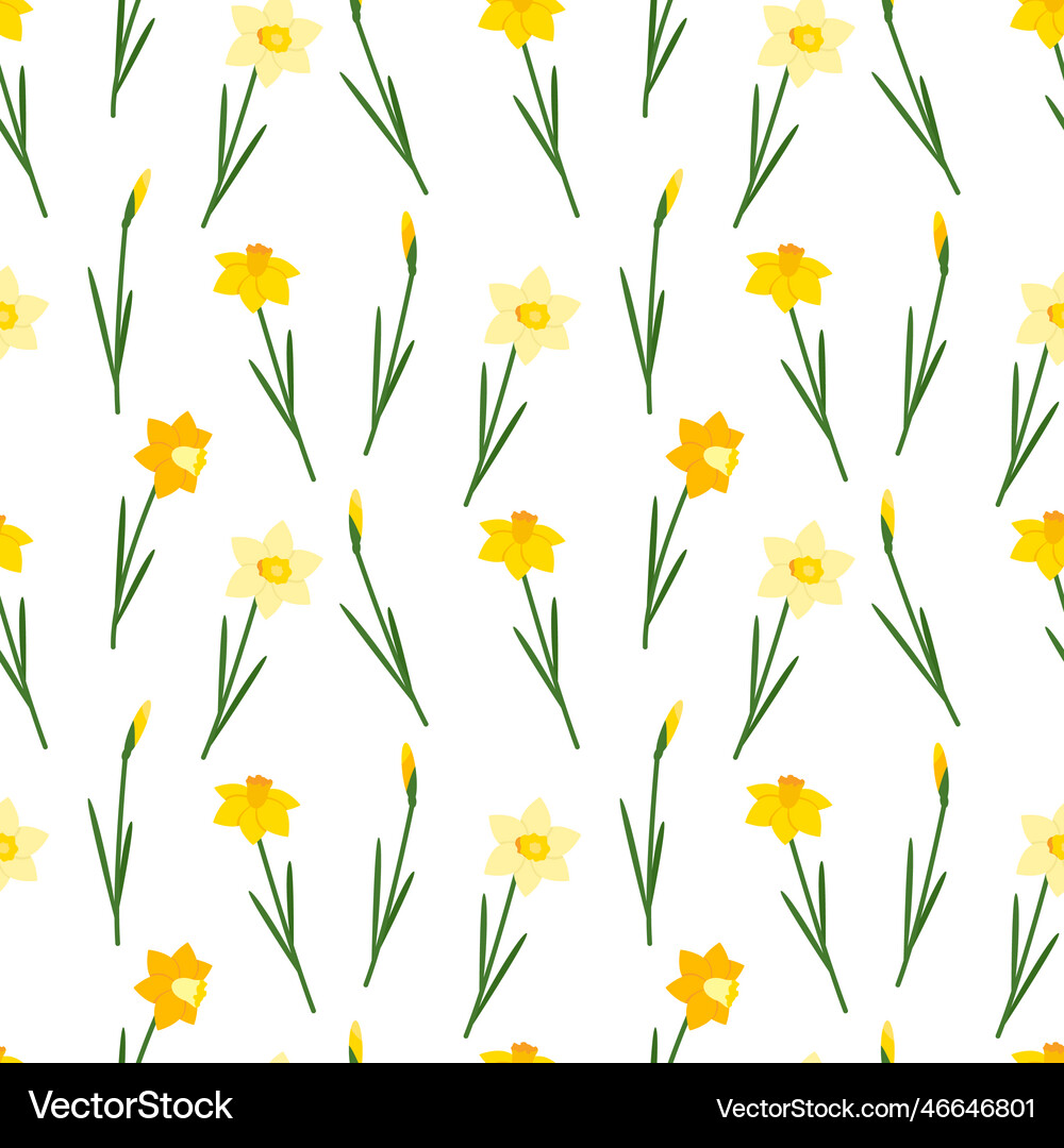 Yellow Daffodils On A White Background Royalty Free Vector