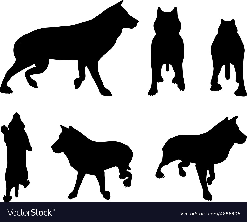 Animal wolf silhouette