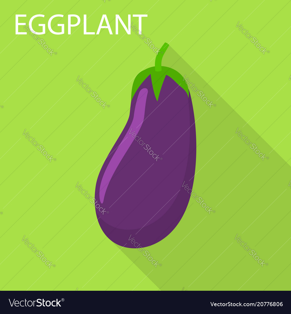 Eggplant icon flat style Royalty Free Vector Image