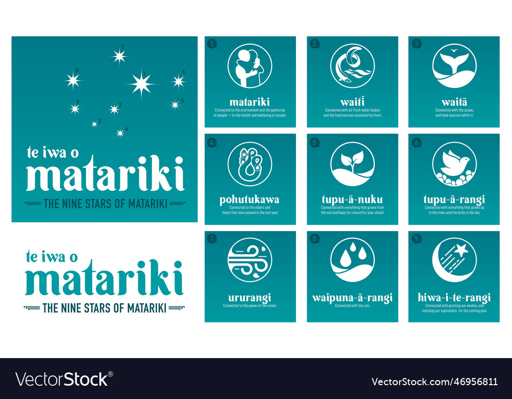 Nz matariki nine stars maori new year Royalty Free Vector