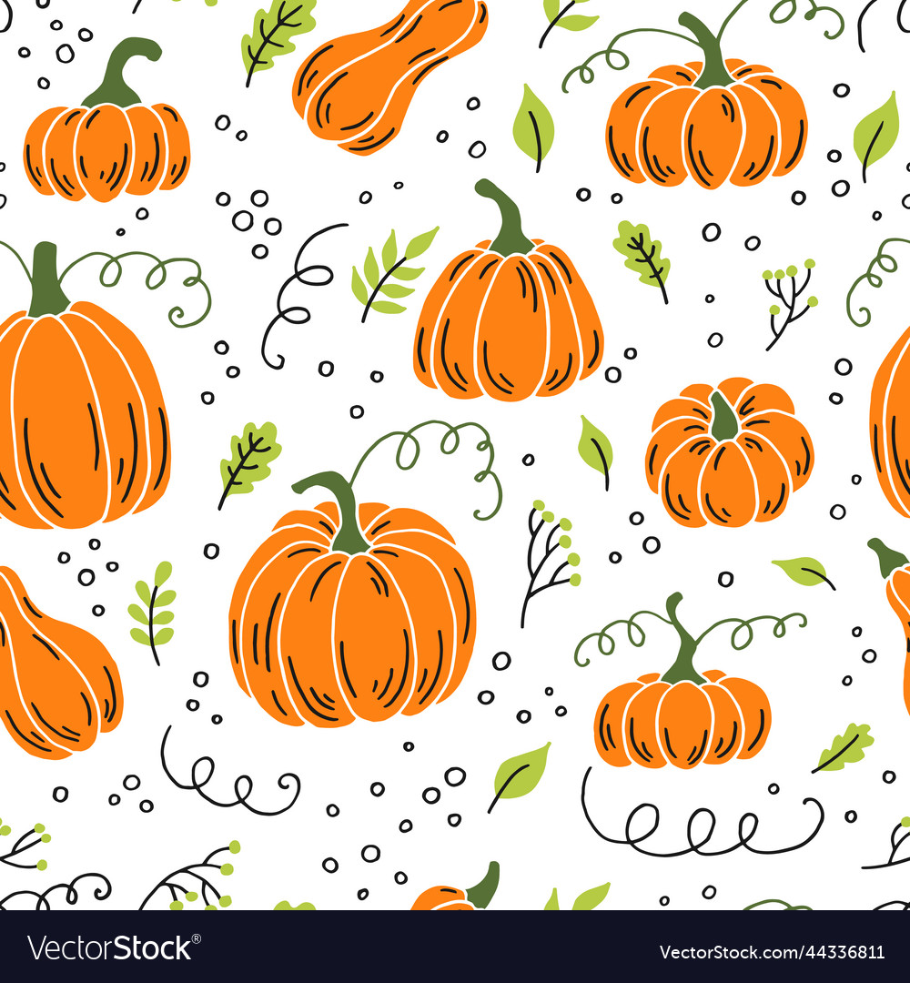 Seamless pattern with pumpkin hand drawn farm Vector Image