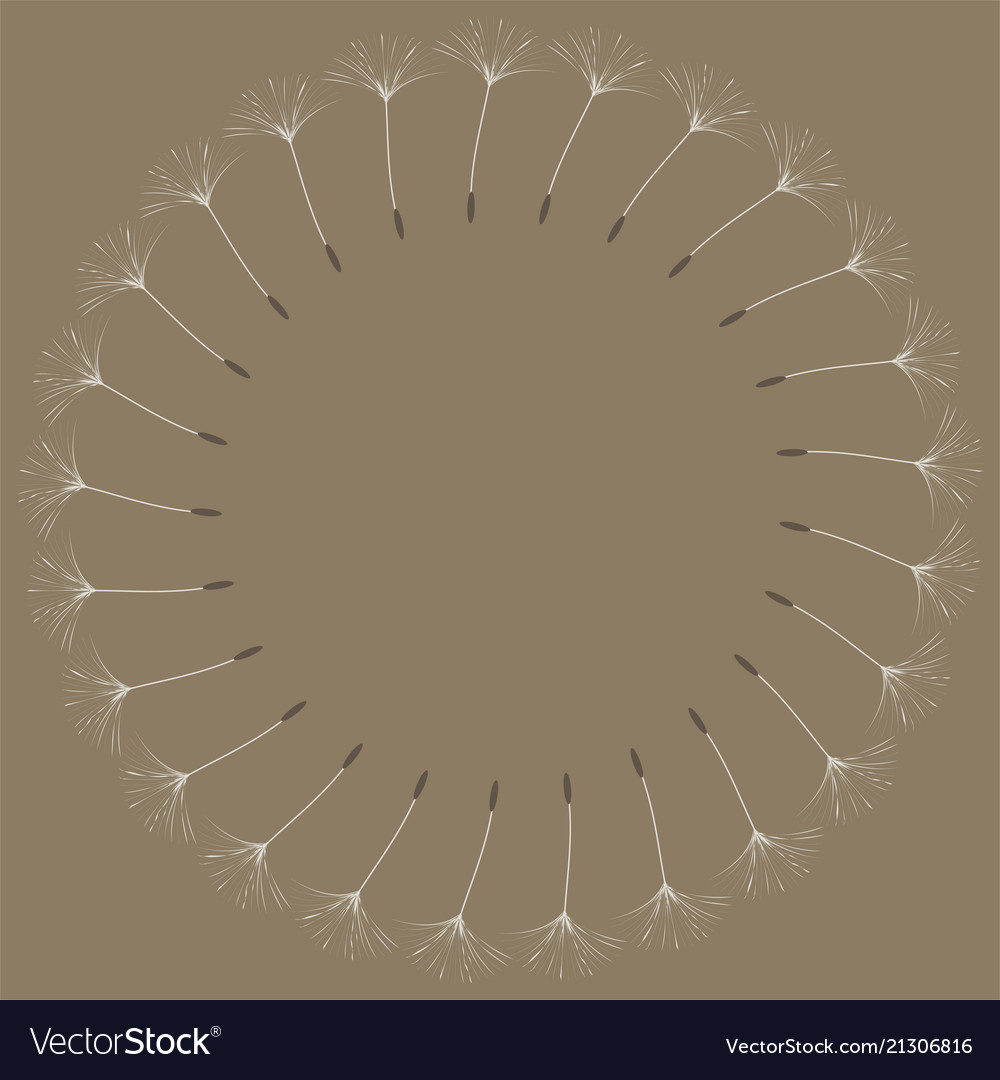 Abstract frame of a dandelion for design vector image Abstract frame of a dandelion for design