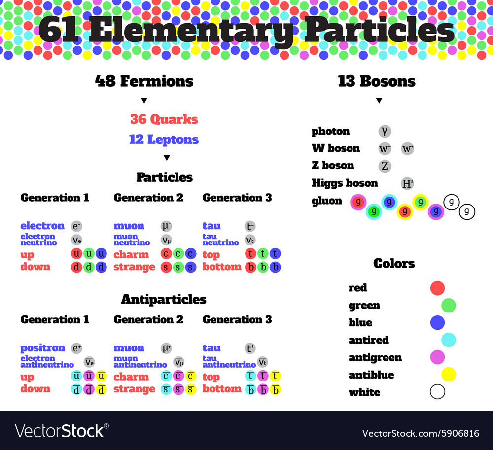 Elementary parcticles infographics