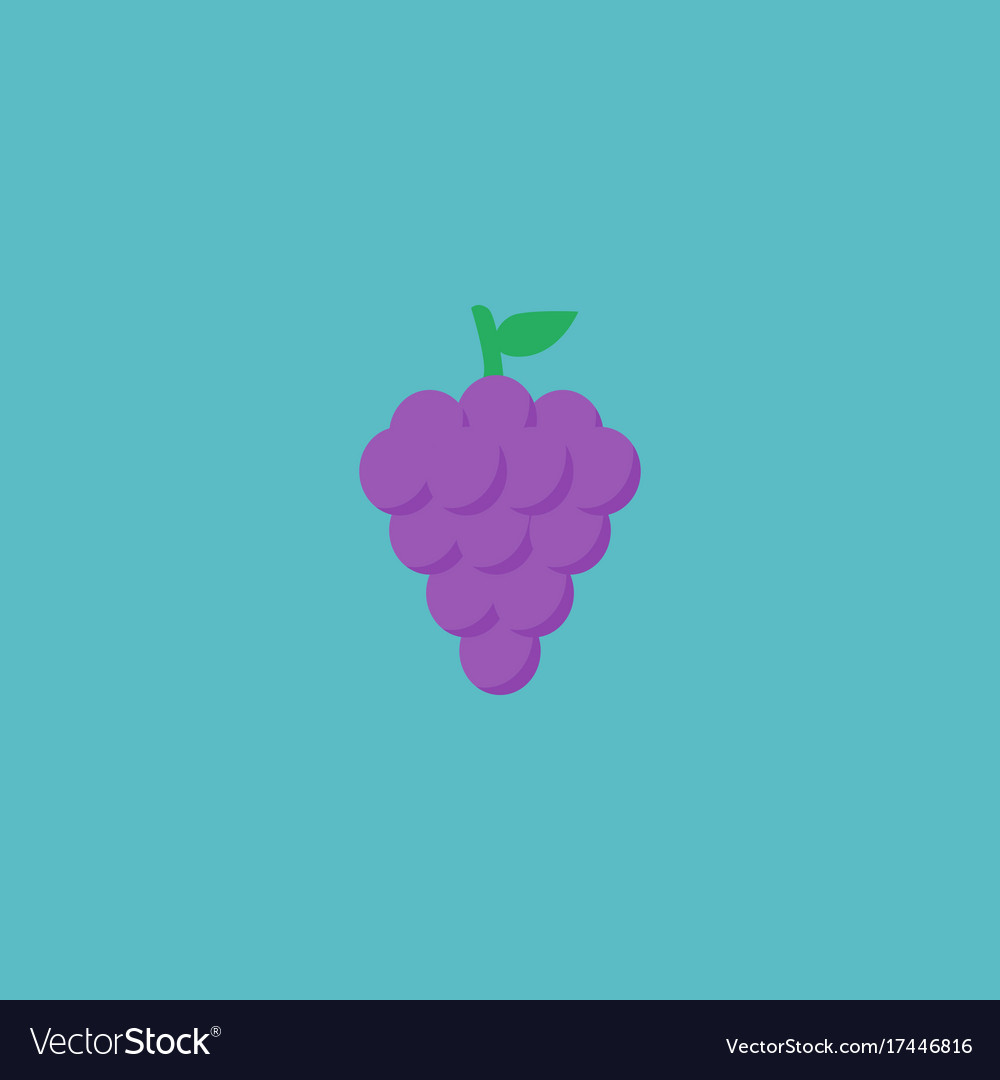 Flat icon grape element
