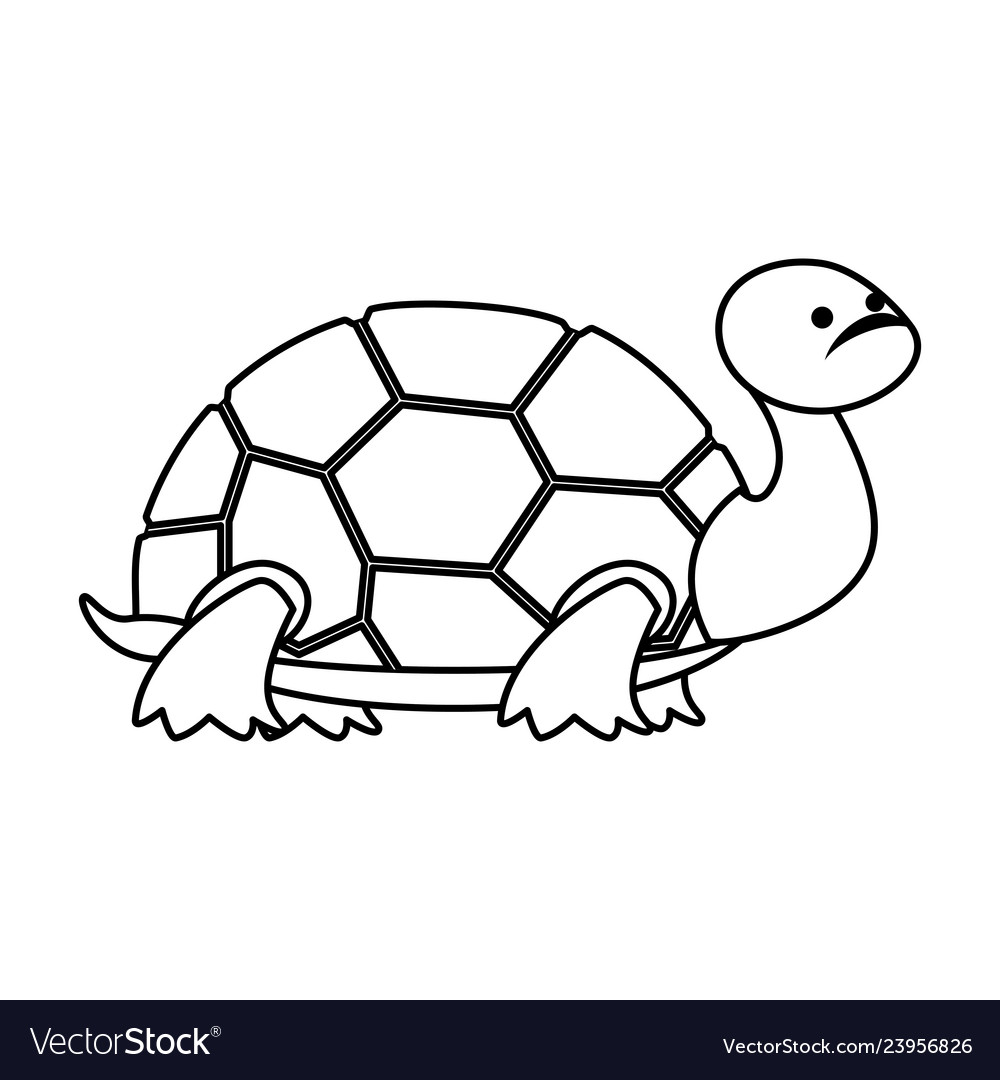 Cute turtle wild character Royalty Free Vector Image