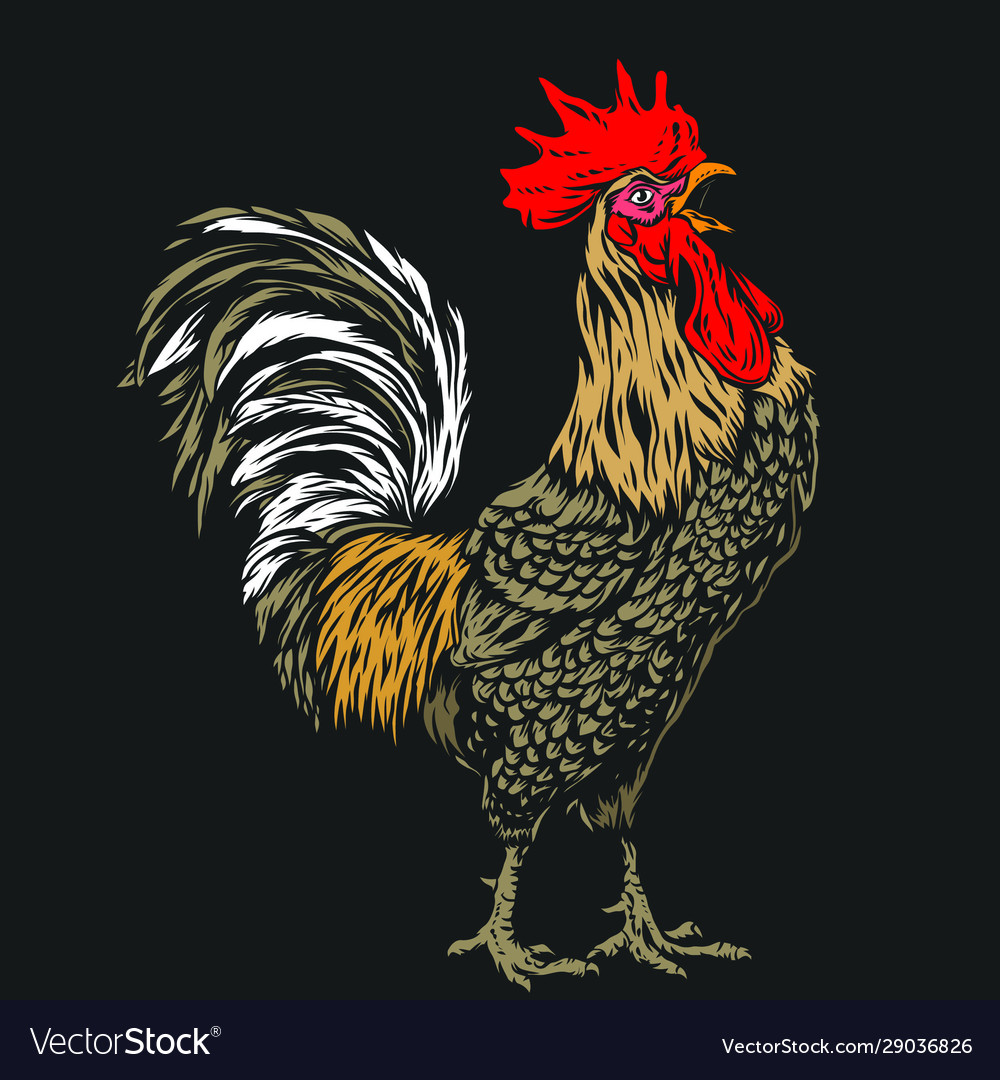 Rooster Royalty Free Vector Image - VectorStock