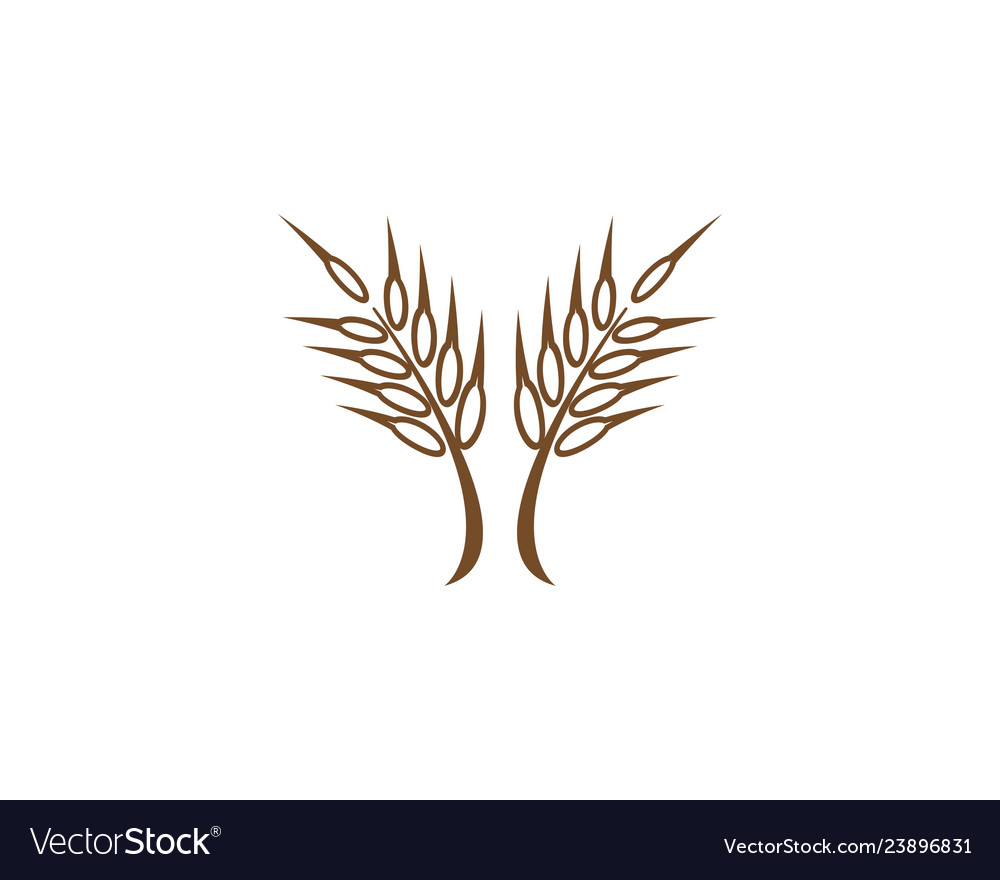 Agriculture wheat logo template