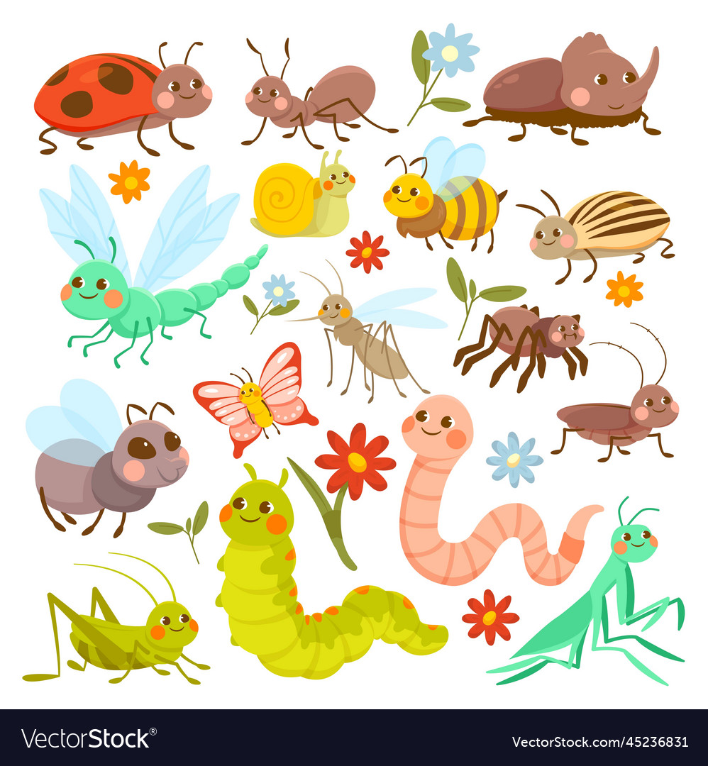 Set of insects vector image Set of insects