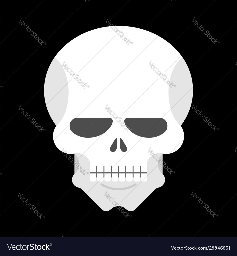 Skull isolated man head skeleton