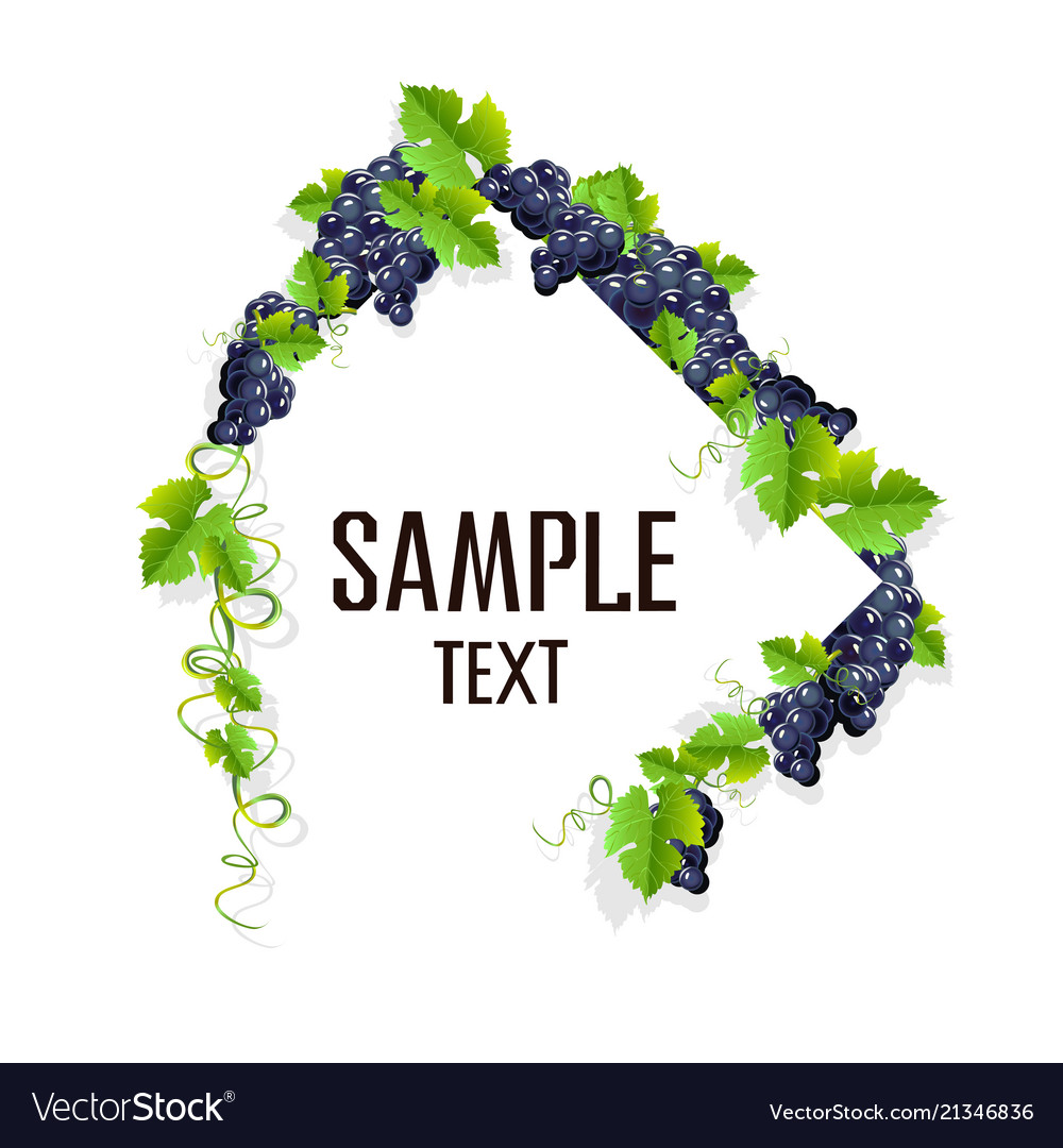 Elegant Grape Frame