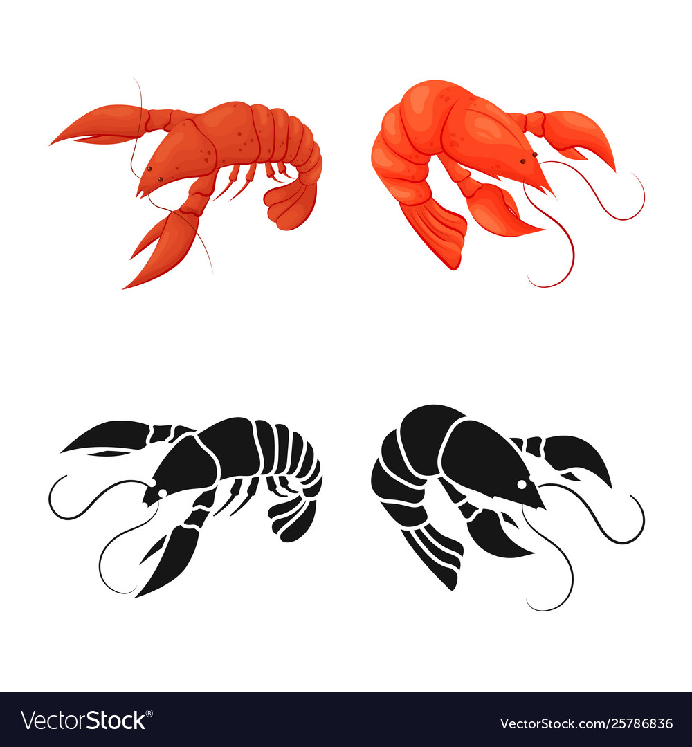 Isolated object appetizer and ocean icon set
