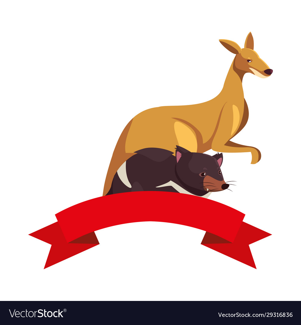 Kangaroo and tasmanian devil on white background