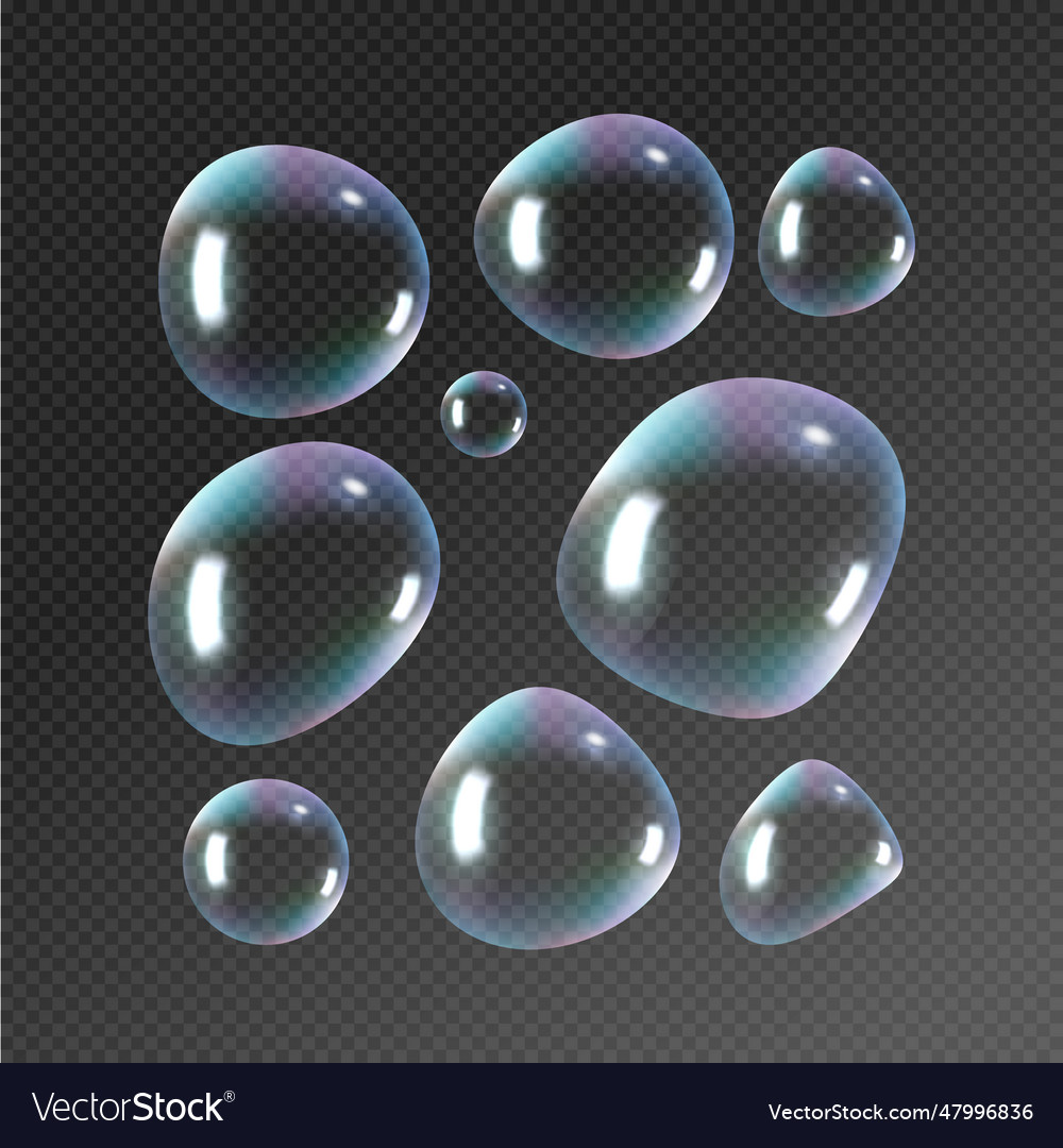Realistic soap bubbles rainbow reflection vector image Realistic soap bubbles rainbow reflection