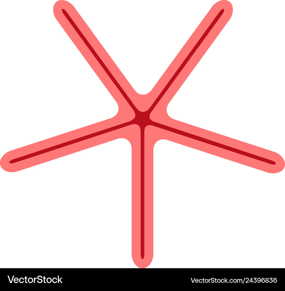 Starfish flat Royalty Free Vector Image - VectorStock