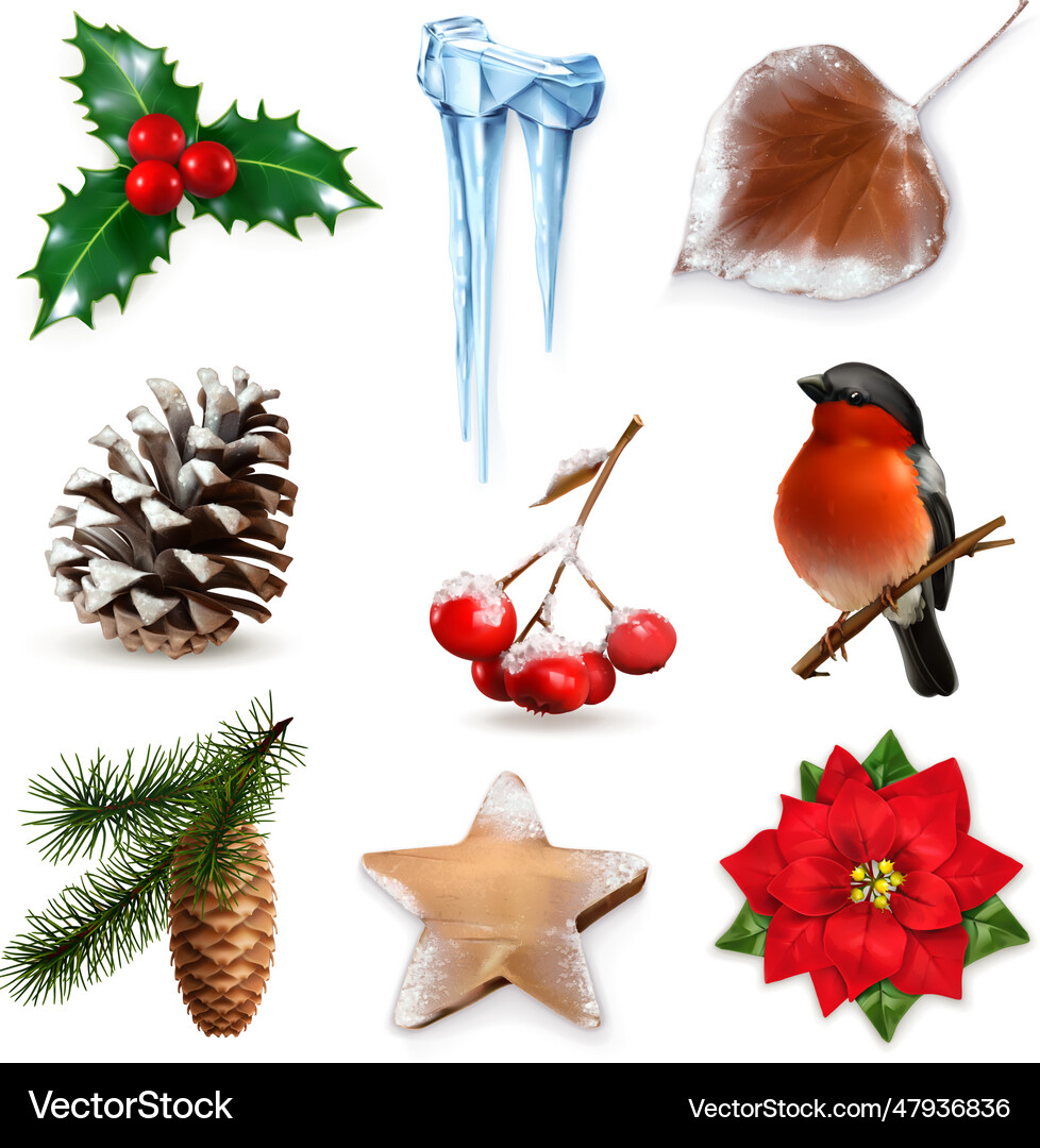 Winter scrap set elements Royalty Free Vector Image