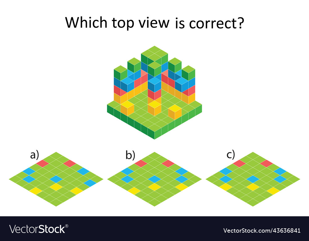 3D Logic Puzzle - Which View?