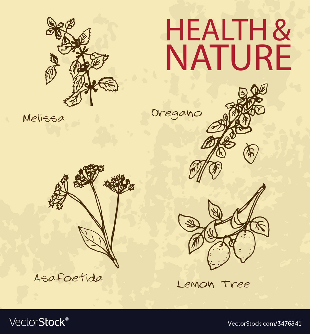 Handdrawn - health and nature set