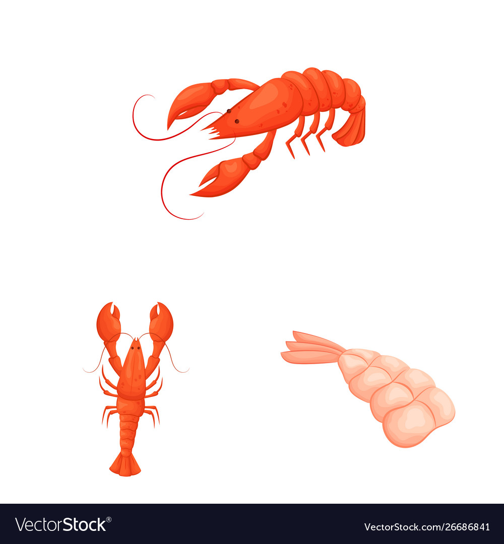 Isolated object shrimp and crab symbol