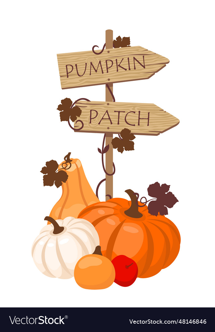 Pumpkin patch pointer Royalty Free Vector Image