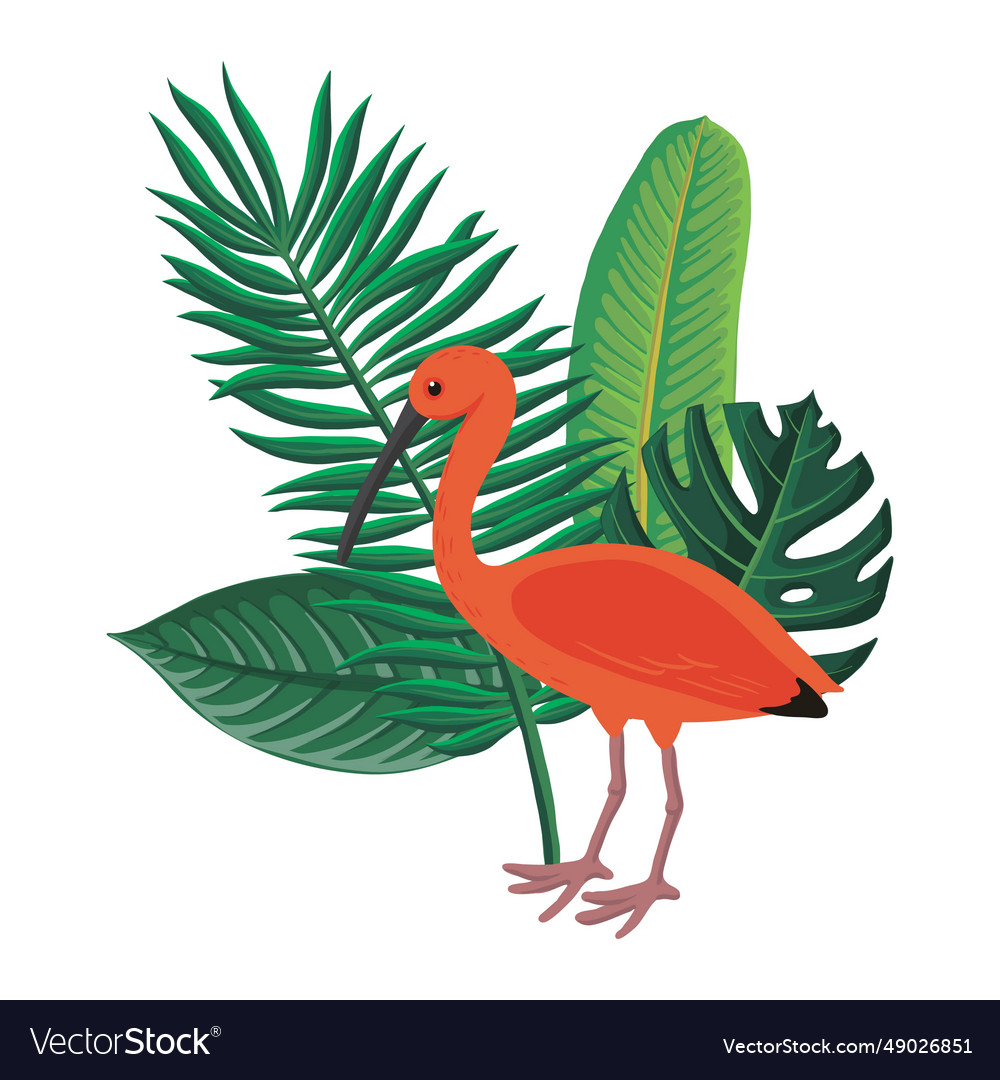 Drawing bird scarlet ibis Royalty Free Vector Image