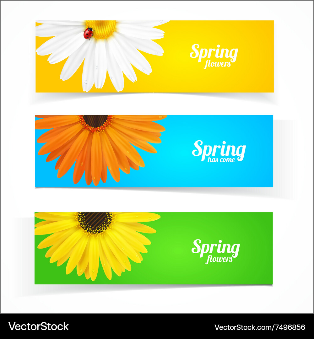 Spring flowers composition Royalty Free Vector Image