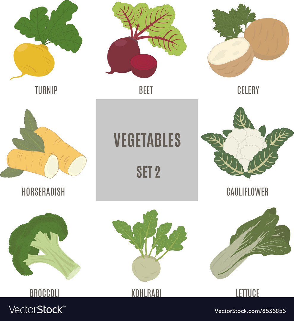 Vegetables Royalty Free Vector Image - VectorStock