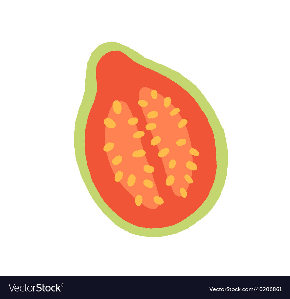 Exotic fruit guava half with pink pulp and skin vector image Exotic fruit guava half with pink pulp and skin