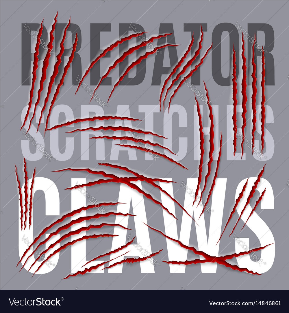 Predator scratches
