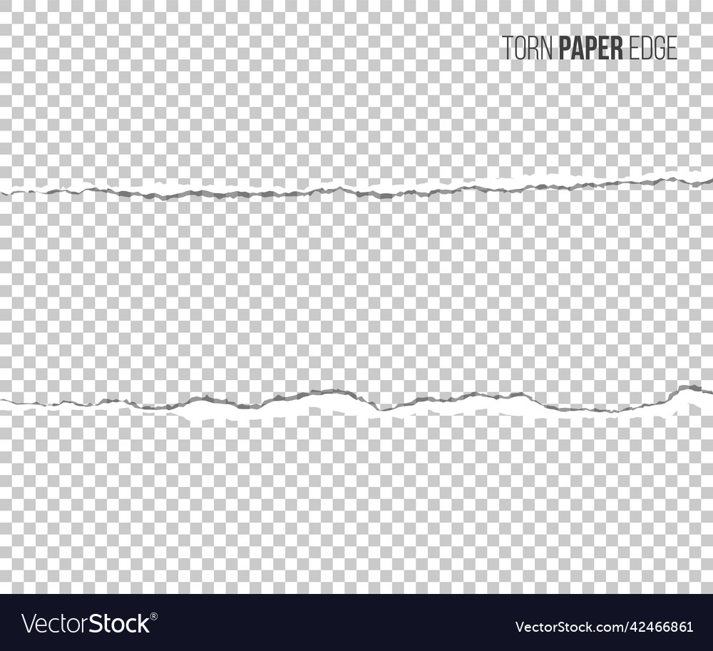 Torn paper edge with shadow isolated vector image Torn paper edge with shadow isolated