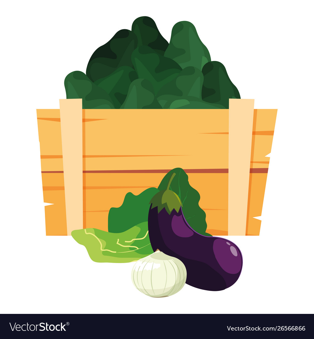 Fresh vegetable avocados in wooden basket Vector Image