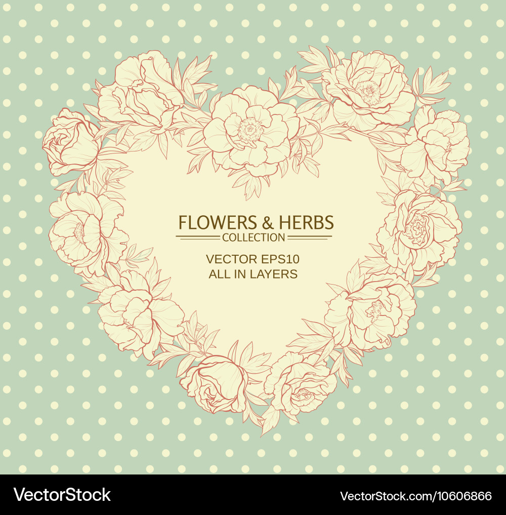 Peonies frame Royalty Free Vector Image - VectorStock
