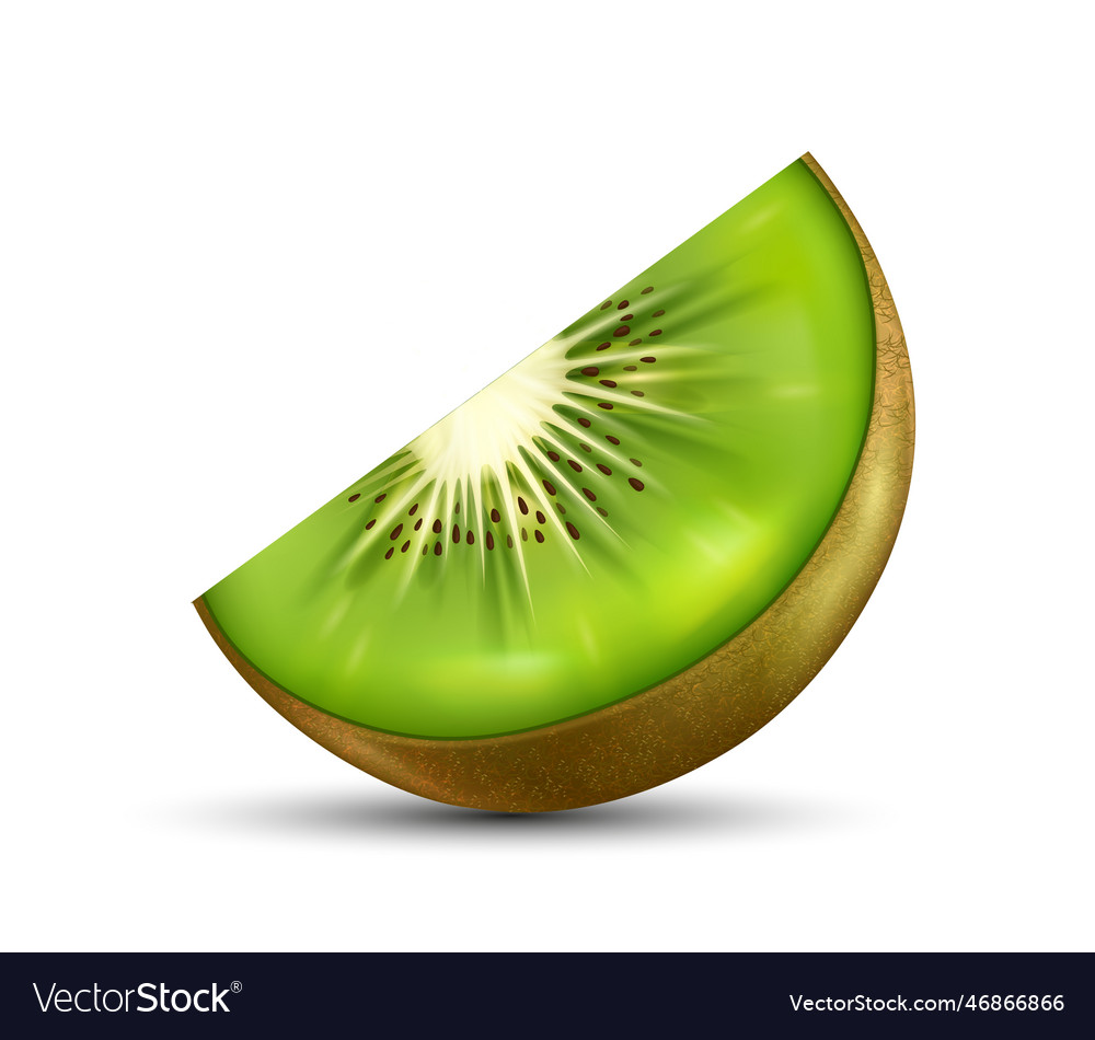 Slice of kiwi concept vector image Slice of kiwi concept