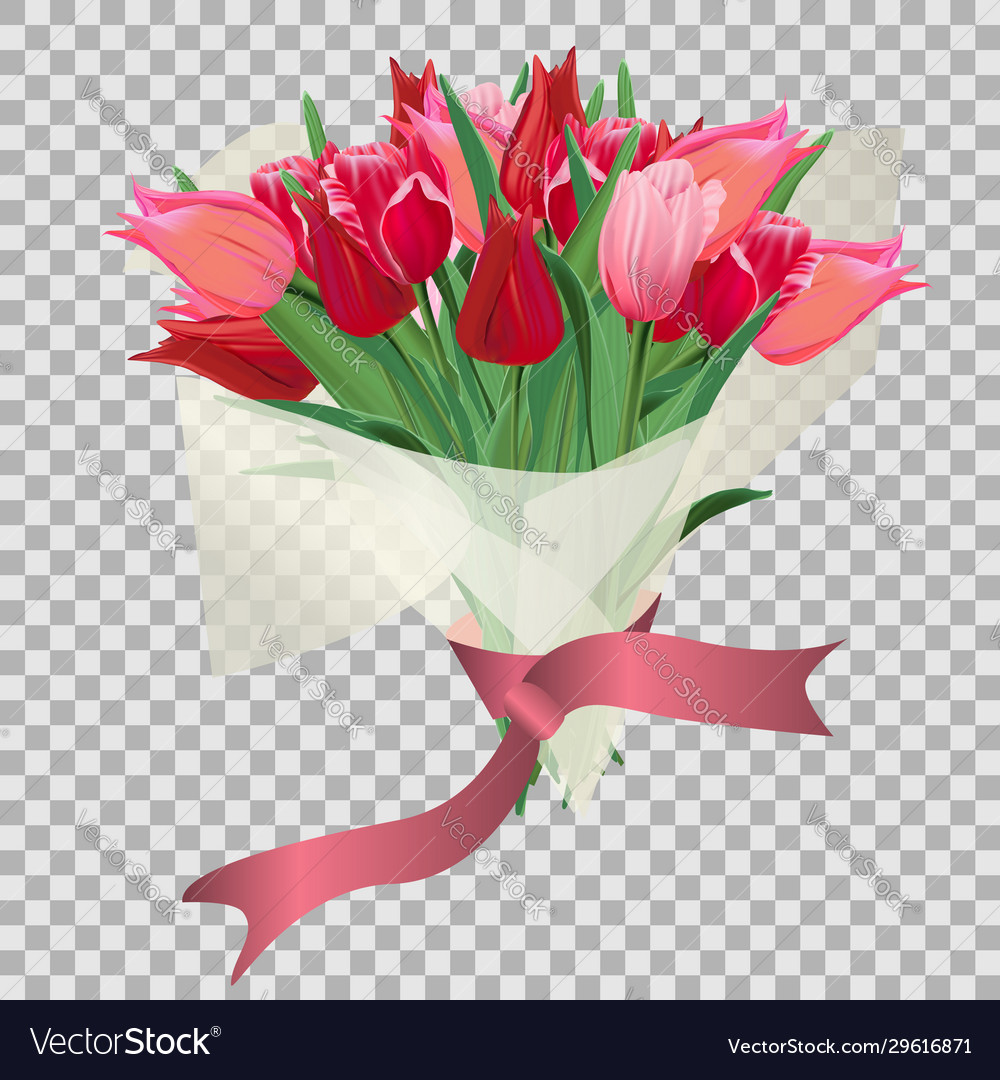 Bouquet red and pink tulips in a gift paper