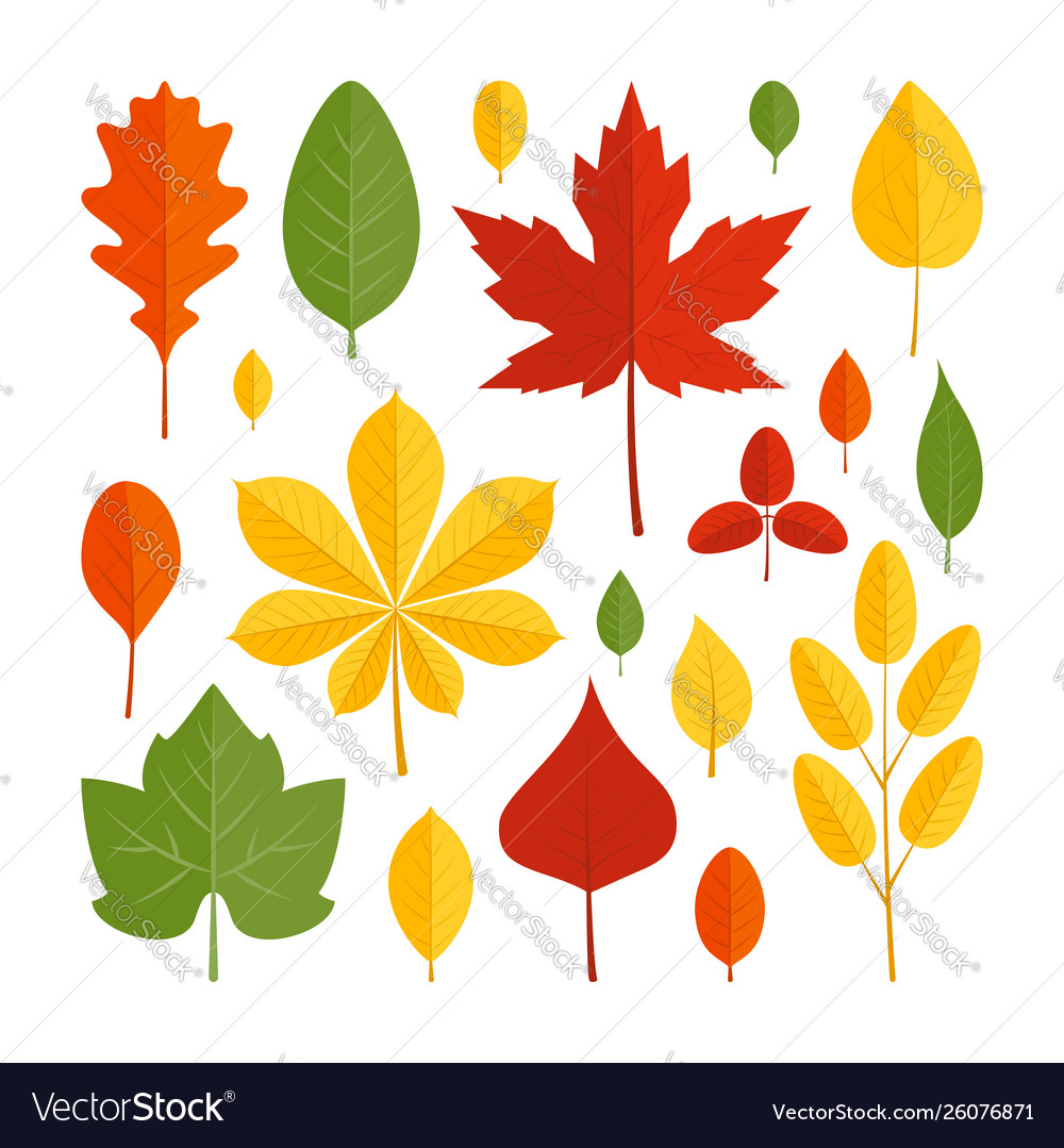 Colorful leaves in flat style icons set Royalty Free Vector