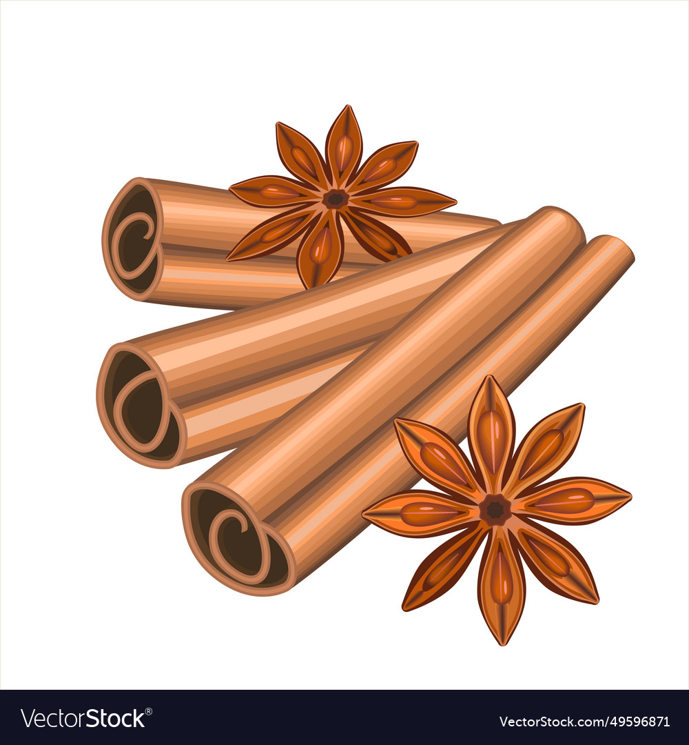 Realistic spices for christmas mulled wine Vector Image