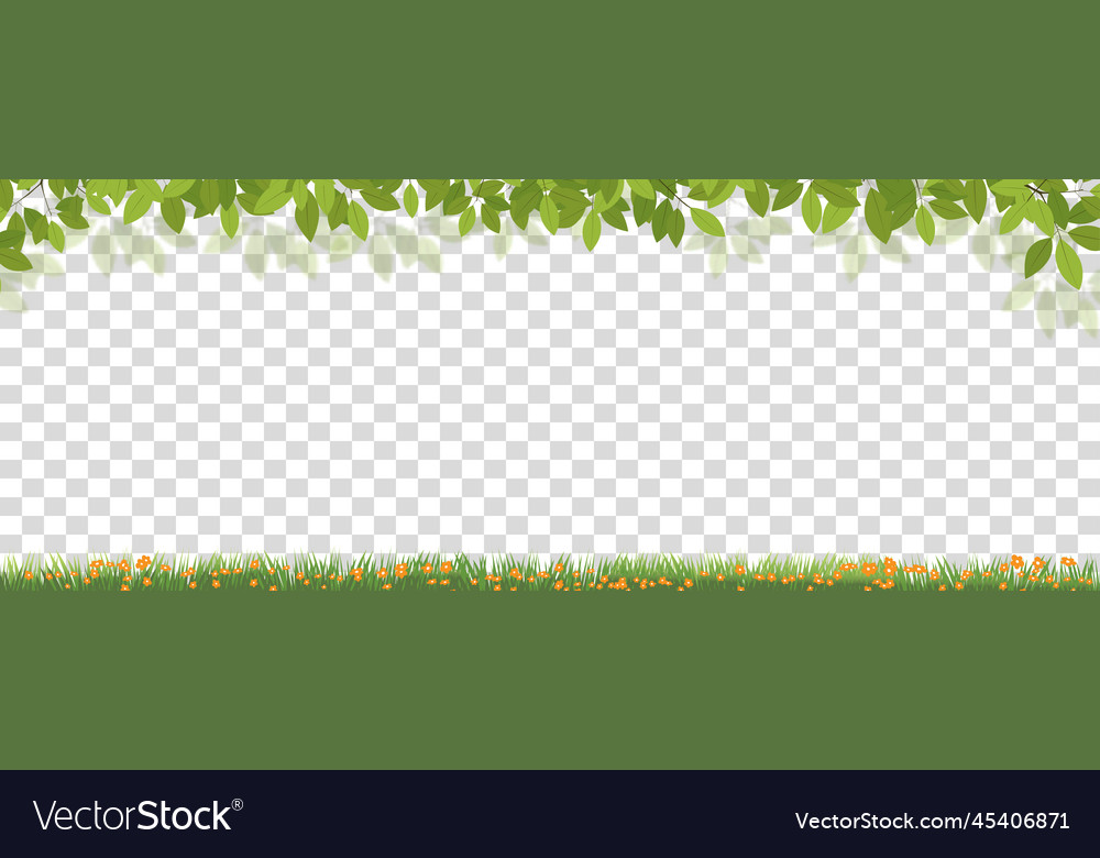 Spring Green Leaves Border