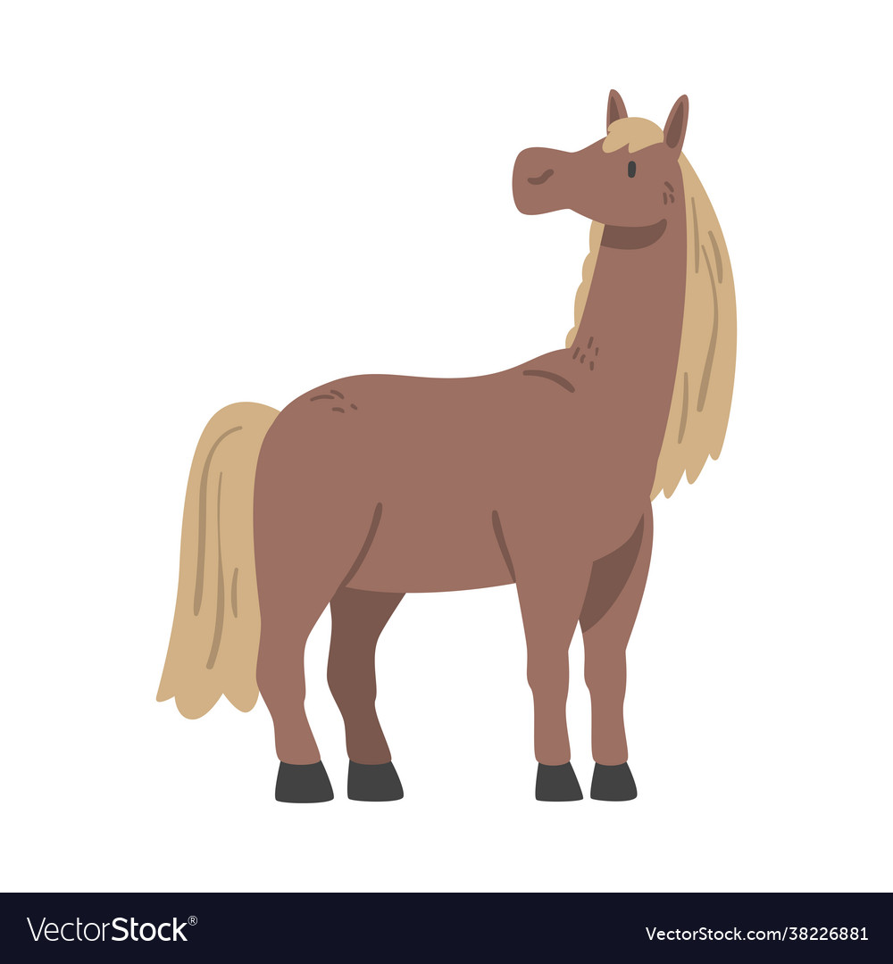 Cute horse farm animal livestock cartoon Vector Image