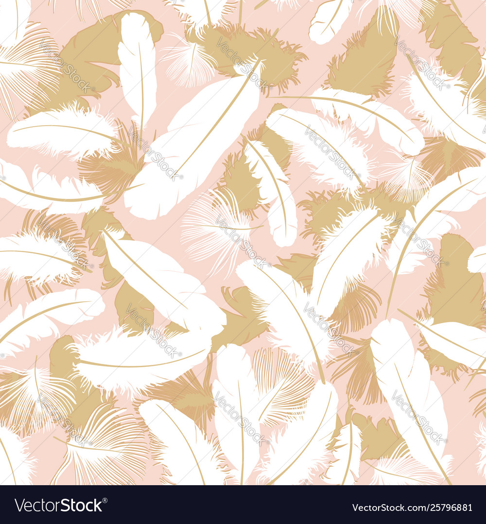 Feather pattern white feathers on gray background