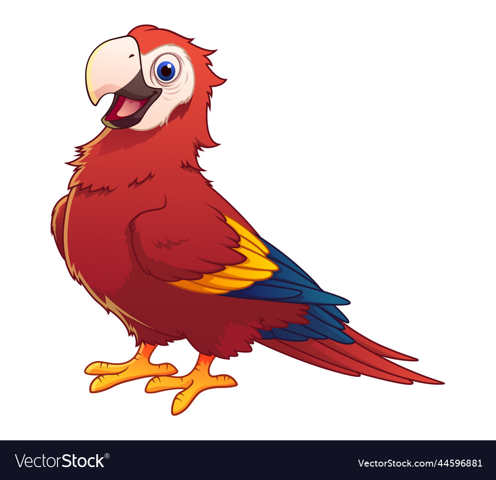 Scarlet macaw cartoon animal Royalty Free Vector Image