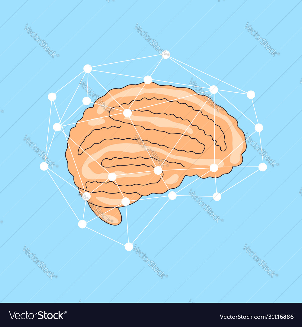 Connected Brain Network