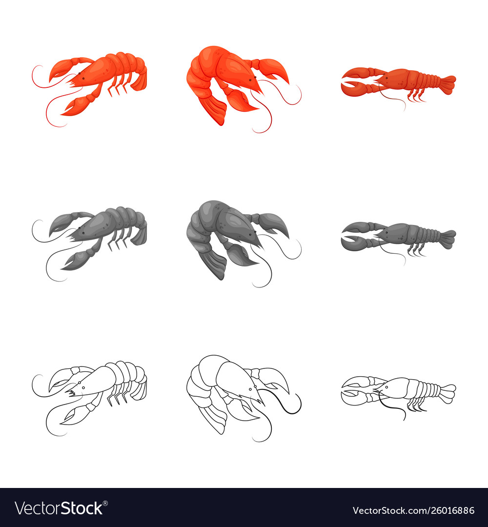 Isolated object appetizer and ocean icon set