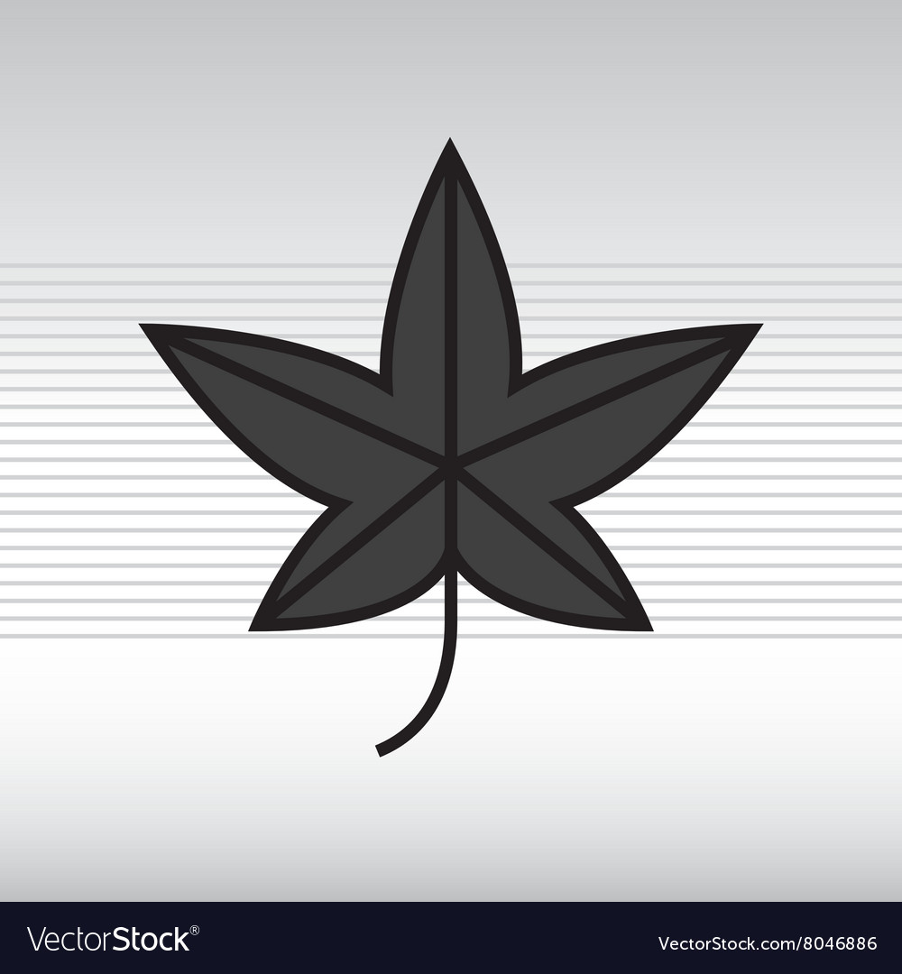 Leaf icon design