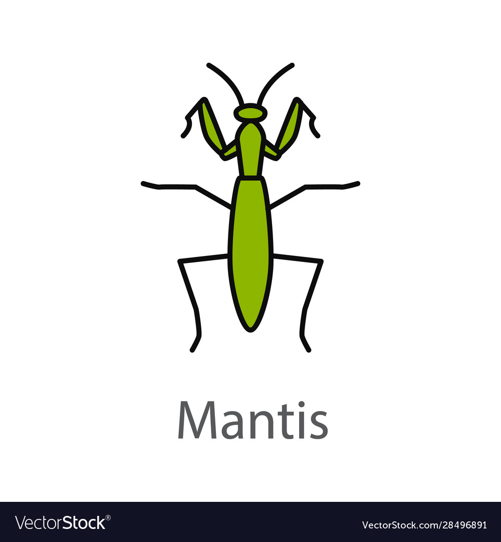 Praying mantis color icon Royalty Free Vector Image