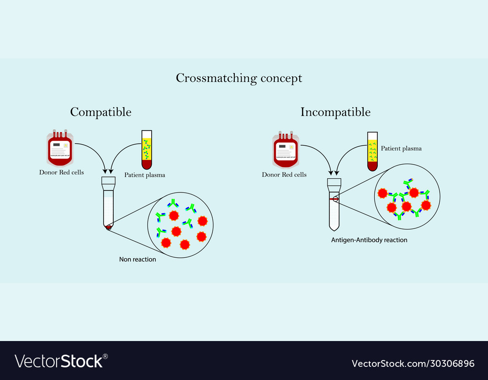 Crossmatching concept Royalty Free Vector Image