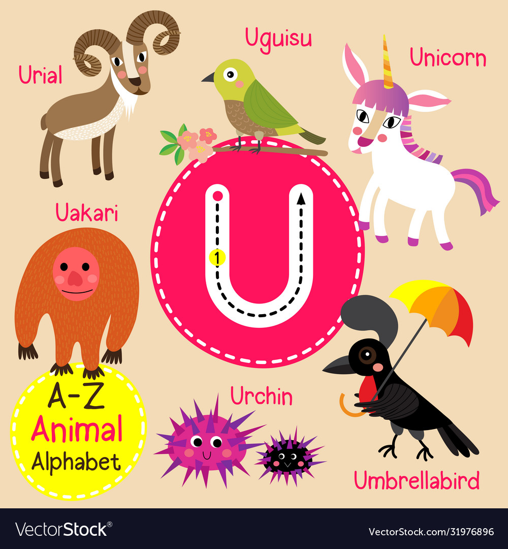 Letter u tracing unicorn umbrellabird urchin Vector Image