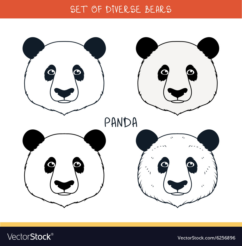 Panda bear set isolated face heads in color