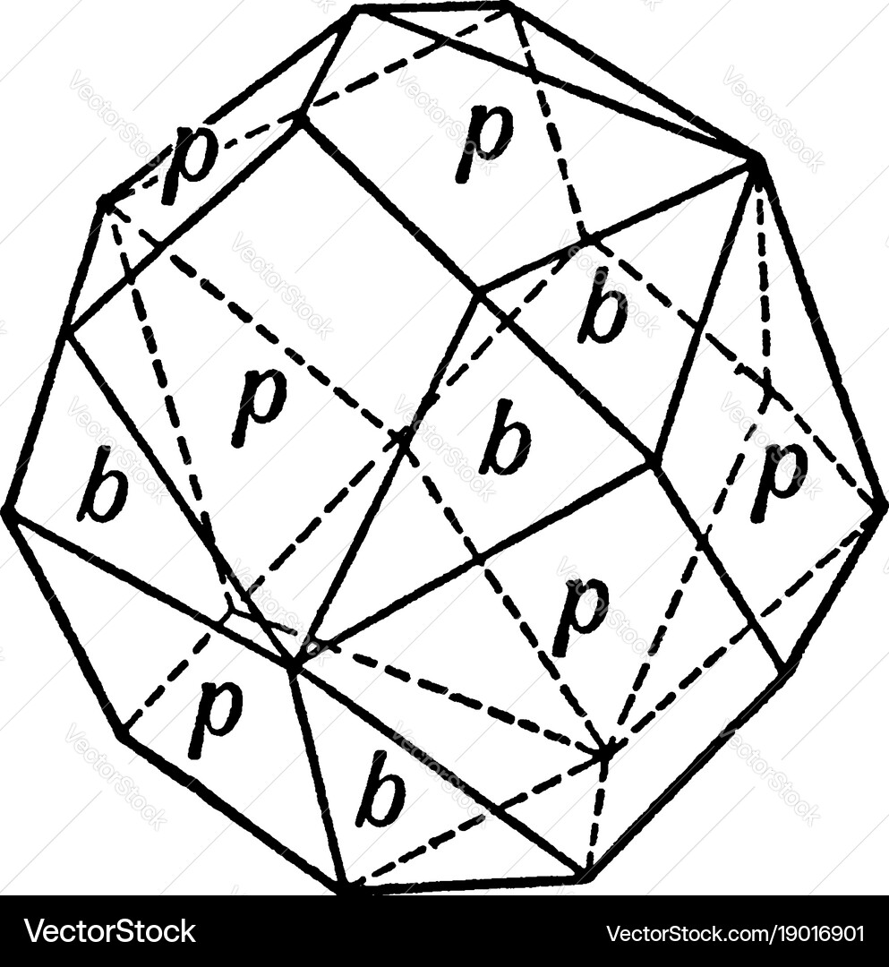 Rhombic dodecahedron combined with the trigonal Vector Image