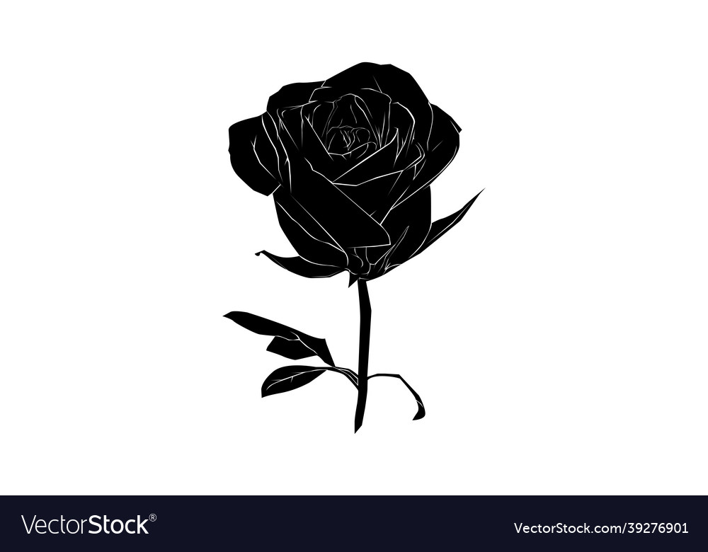 Rose Silhouette