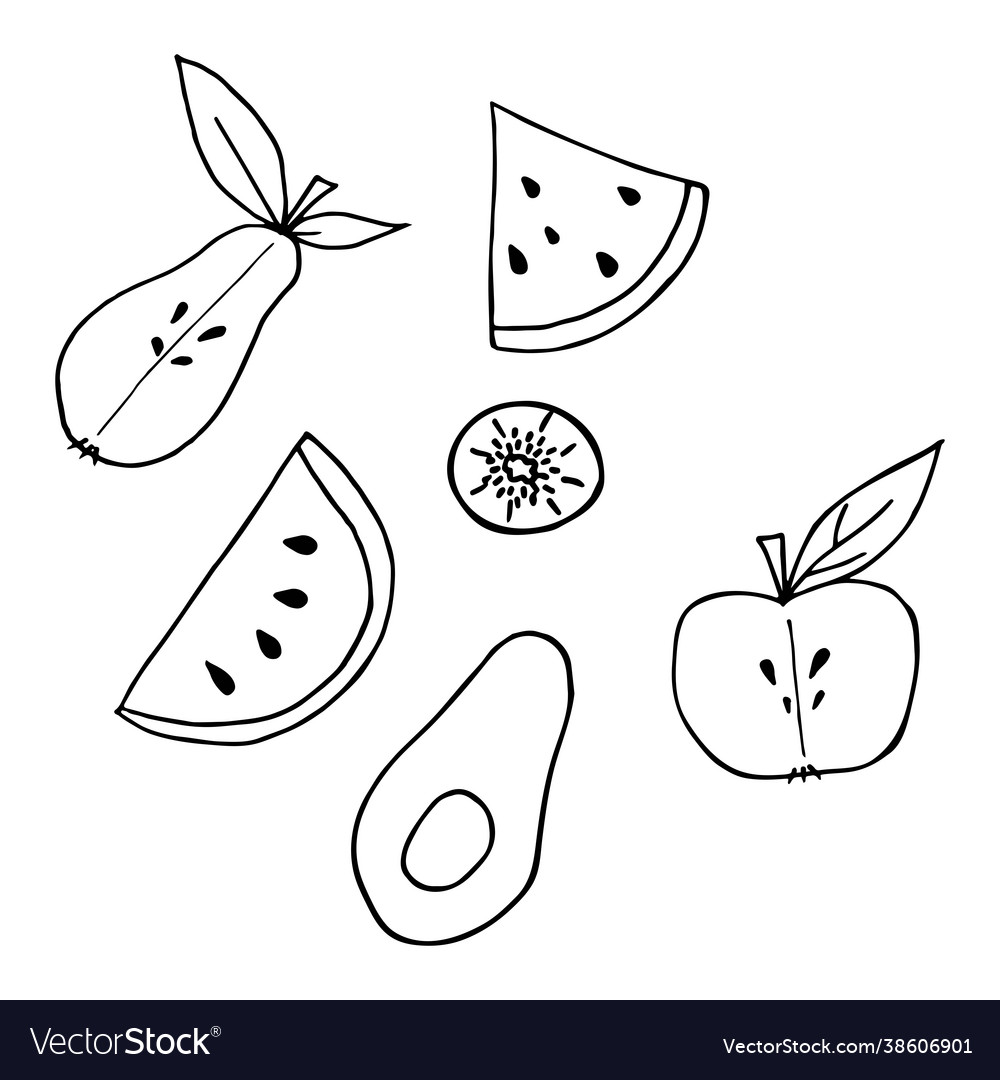 Set cut fruits in doodle style