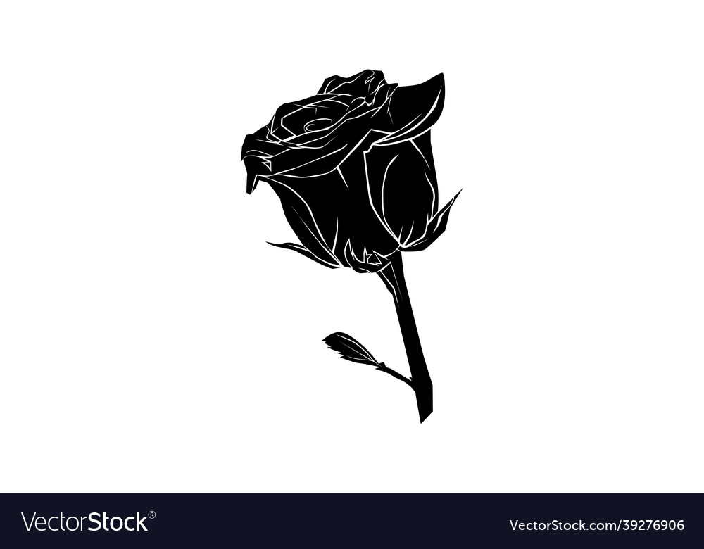 Rose Silhouette